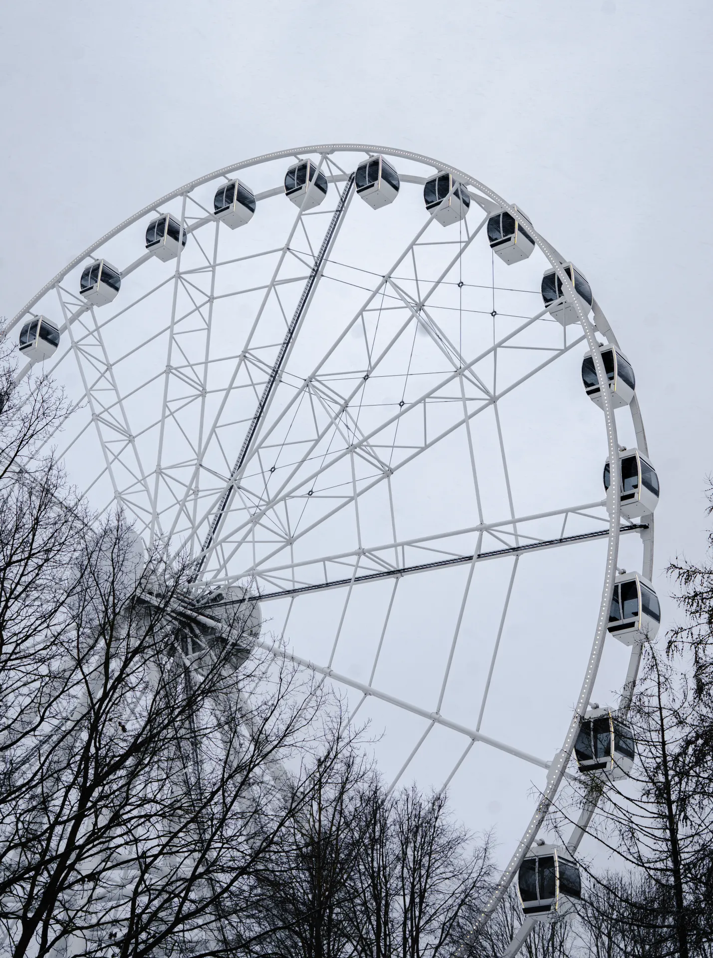 A low-angle view of a large white Ferris wheel against an overcast sky, with bare tree branches framing the bottom of the composition.