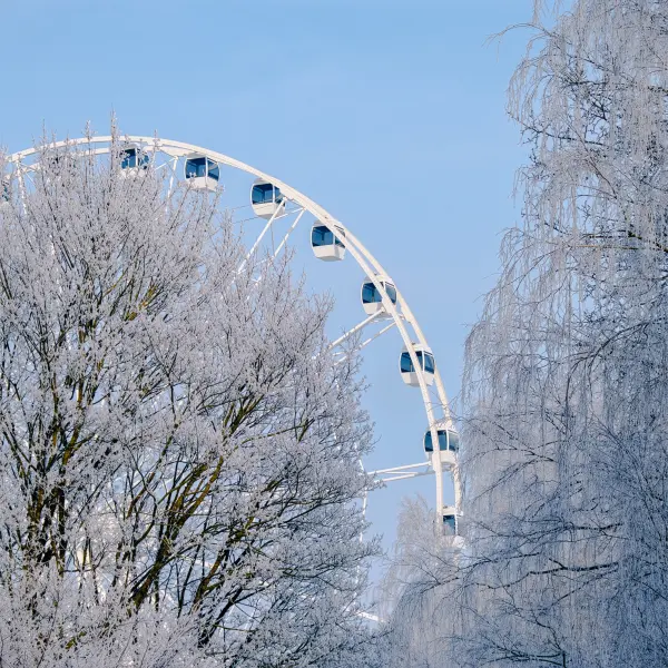 ElvijsMetrinsPhotography — Fotogrāfs, Rīga