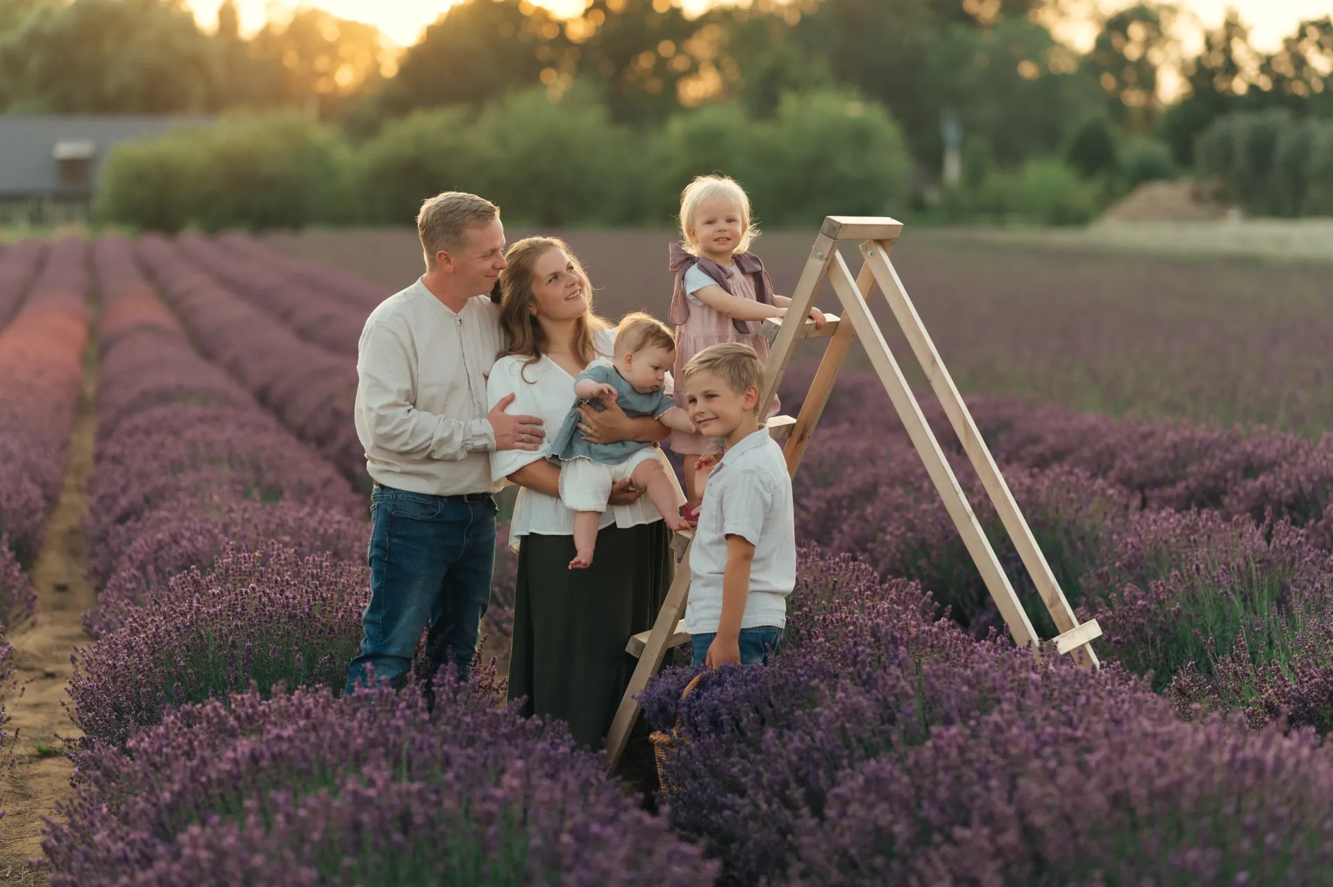 A family of six poses among rows of blooming lavender during golden hour, with two children climbing a wooden A-frame ladder and others standing among the purple flowers under warm, soft light.