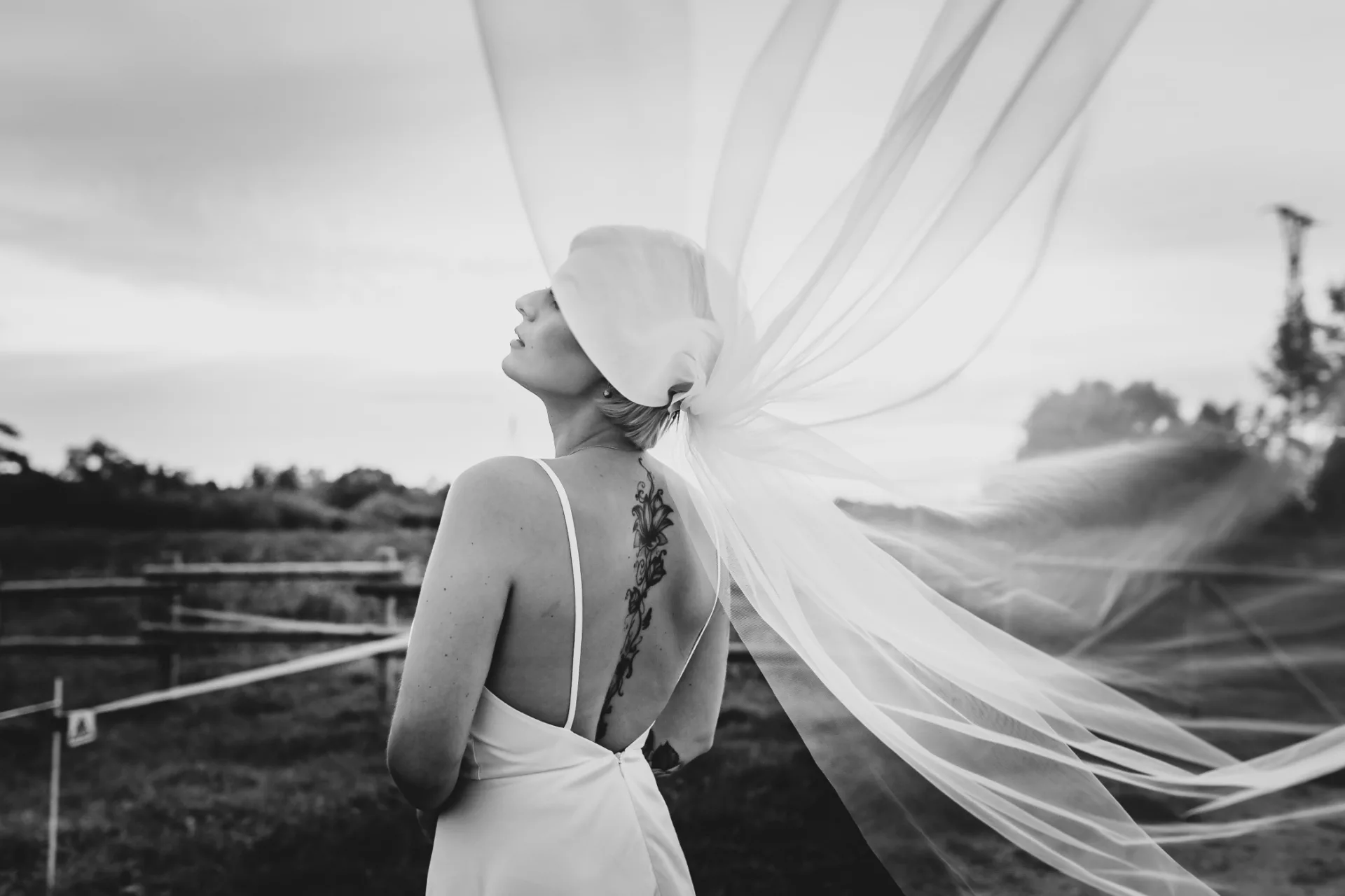 vilnisphoto