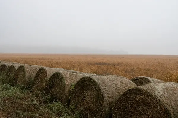 aleksandrs — Fotogrāfs