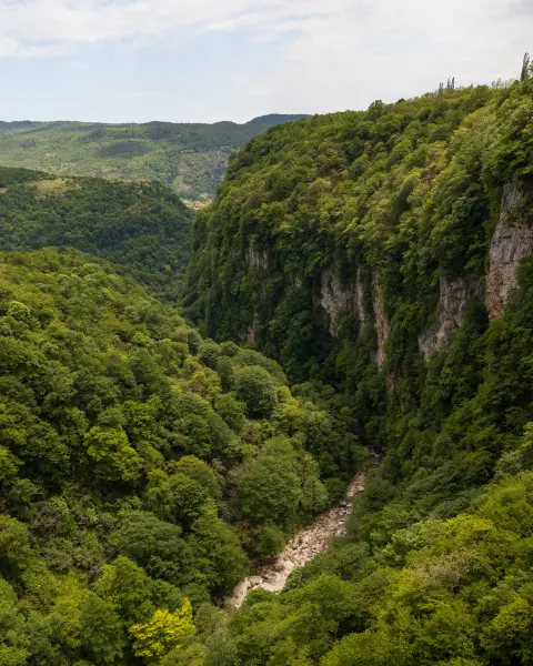 aleksandrs — Fotogrāfs