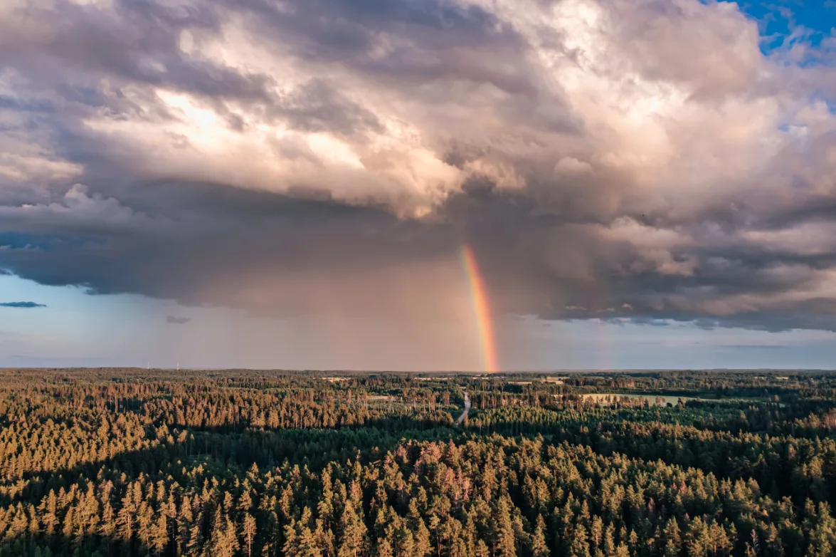vilnisphoto