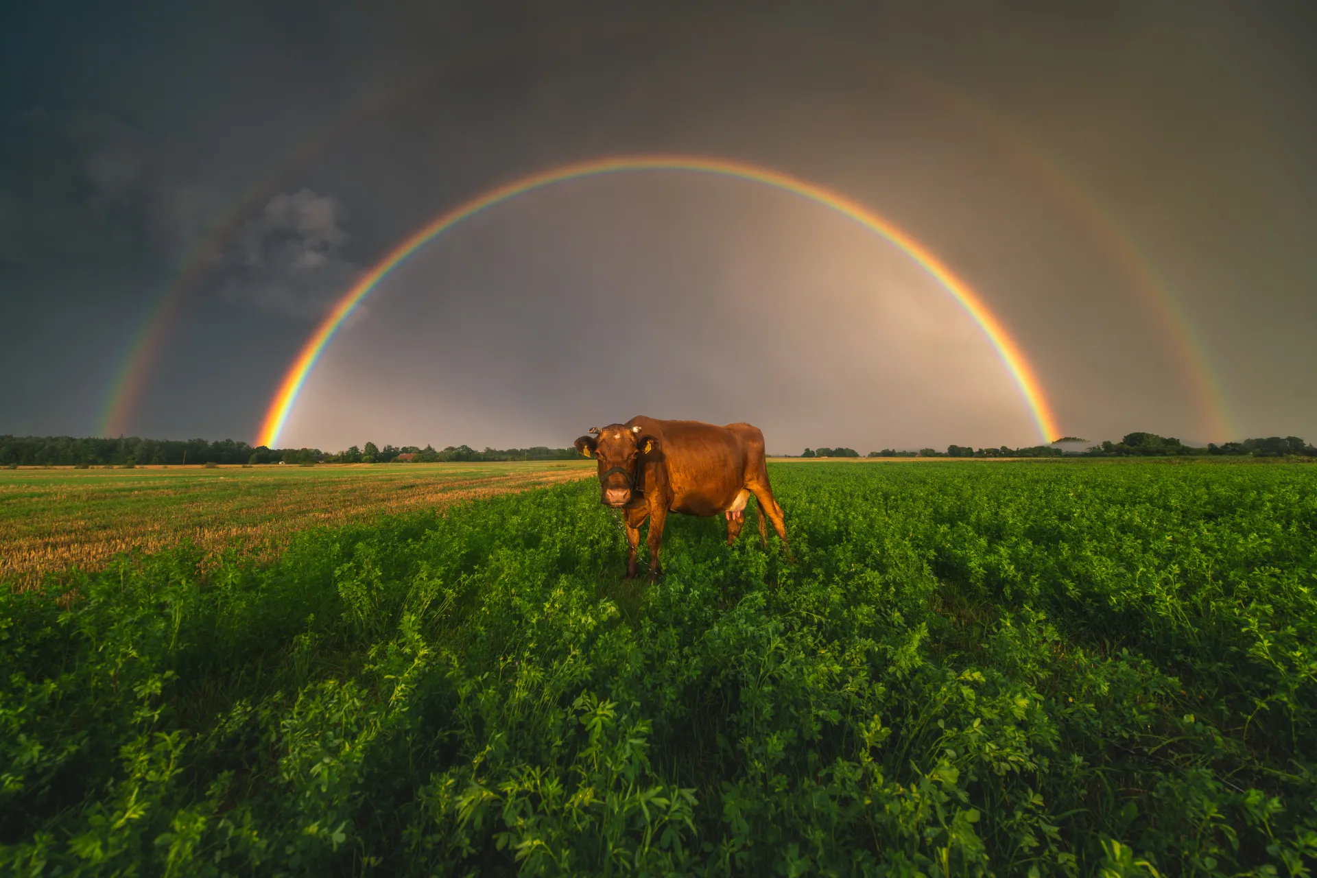 latvianphotographer