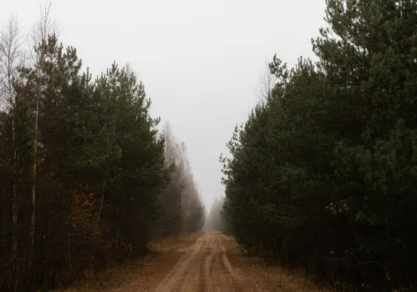aleksandrs — Fotogrāfs