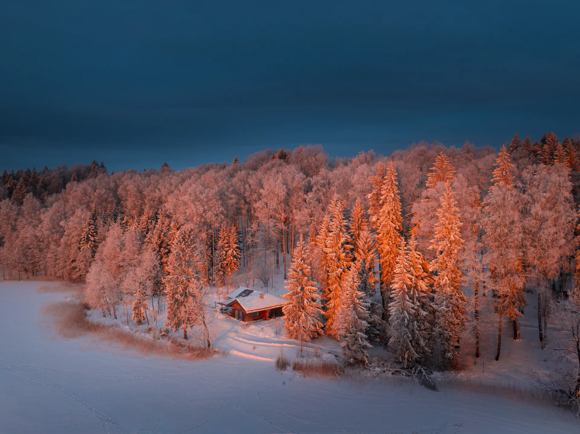 latvianphotographer