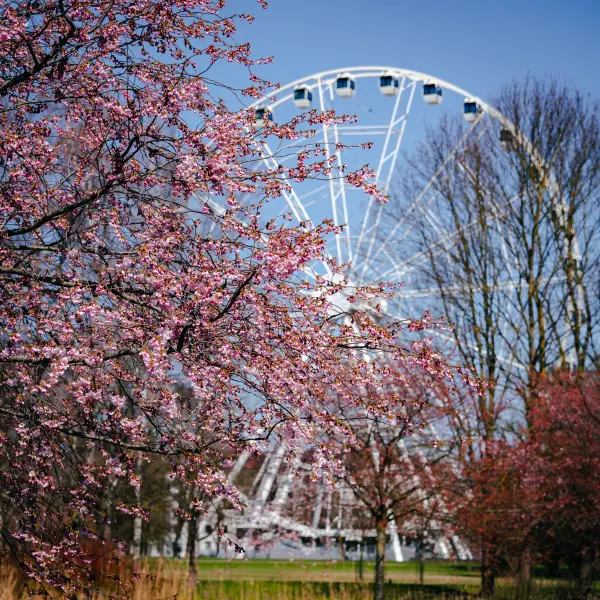 ElvijsMetrinsPhotography — Fotogrāfs, Rīga