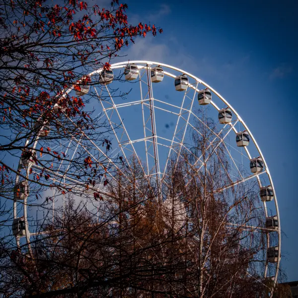 ElvijsMetrinsPhotography — Fotogrāfs, Rīga