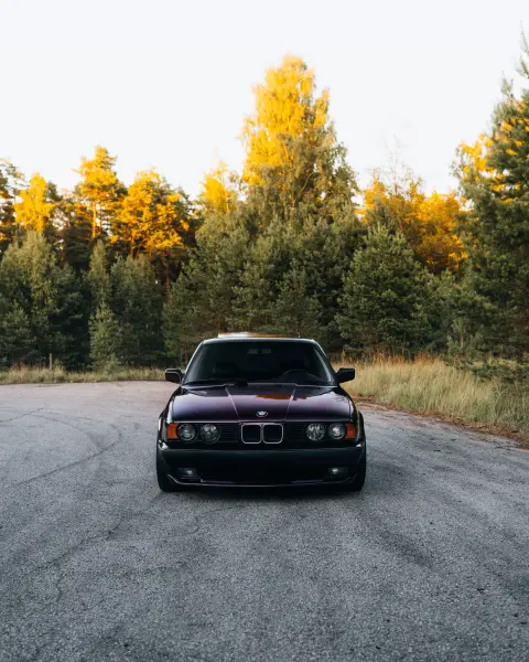 Ugis_Lasmanis — Fotogrāfs, Tukums