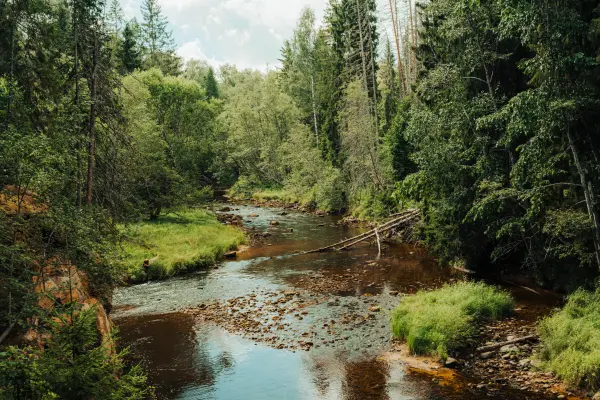 Kristaps Platačs — Fotogrāfs, Sigulda