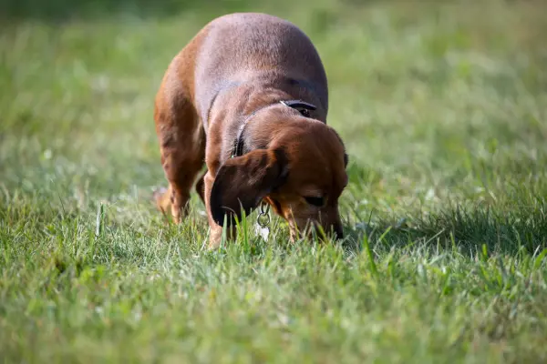 Dmitrijs Zaharovs — Fotogrāfs, Rīga